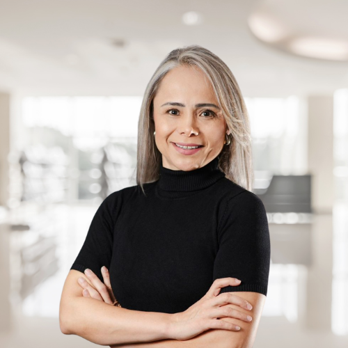 Inga. Luisa Díaz - Vicepresidenta CGAB